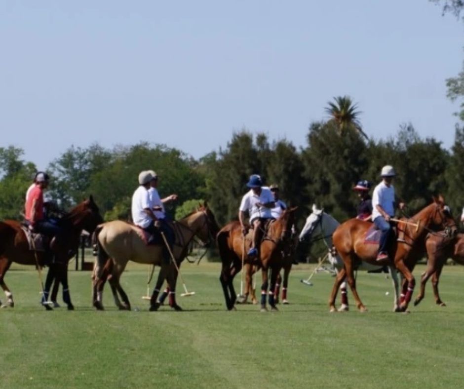 Polo and Pato — Argentine equestrian sports