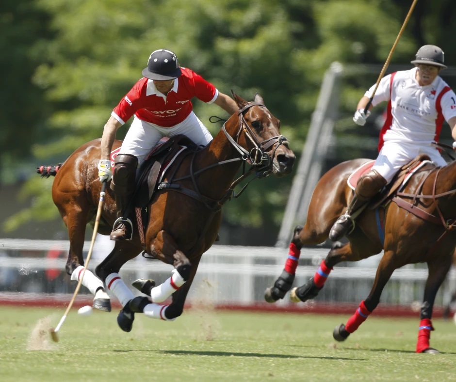 Estancia Day Buenos Aires