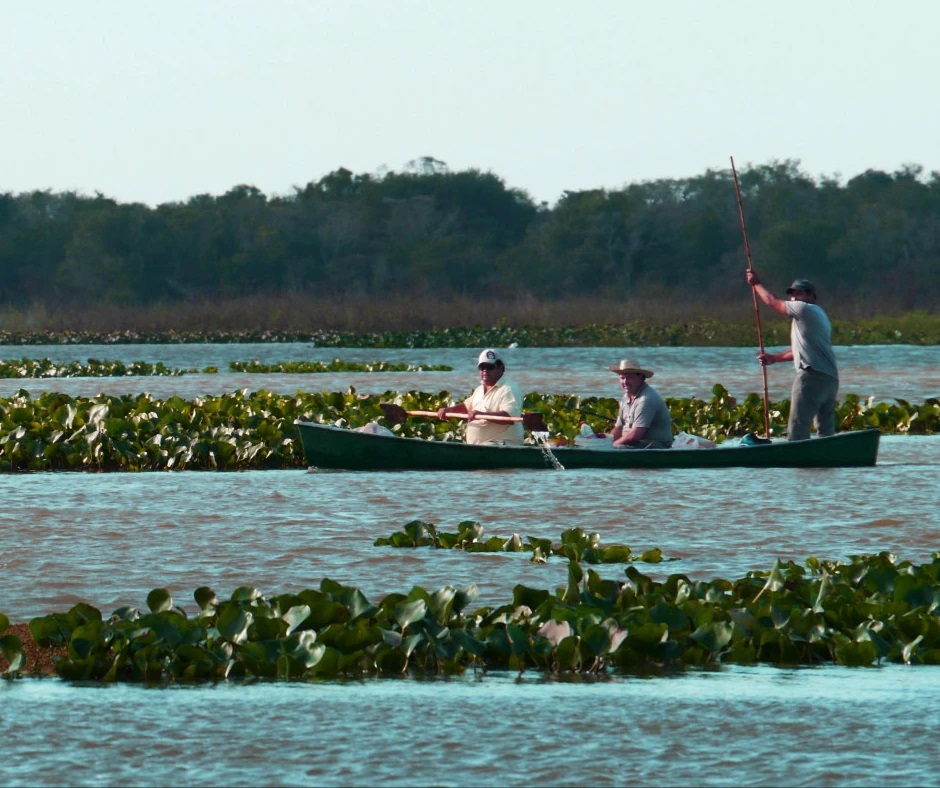 Esteros del Iberá