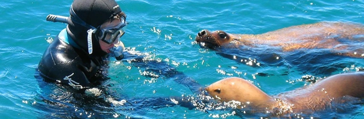 Peninsula de Valdes Wildlife
